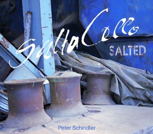 [중고] Saltacello / Salted (홍보용CD)