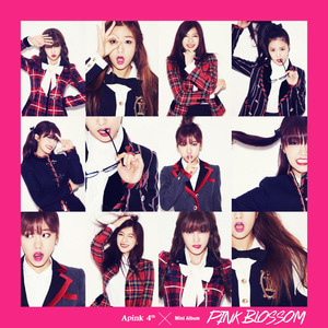 [개봉] 에이핑크 (Apink) / Pink Blossom (4th Mini Album/60P 북클릿)