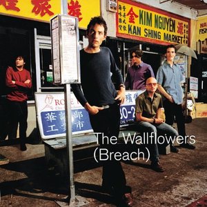 Wallflowers / Breach (수입CD/미개봉)