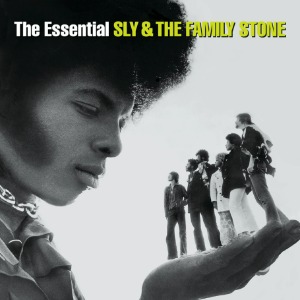 [중고CD] Sly &amp; The Family Stone / The Essential (2CD/홍보용 A급)